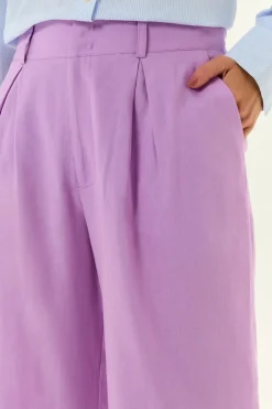 Calça Pregas Linho